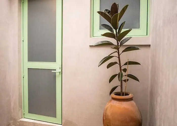 Apartamento Charming Cozy In The Heart Of Coyoacán