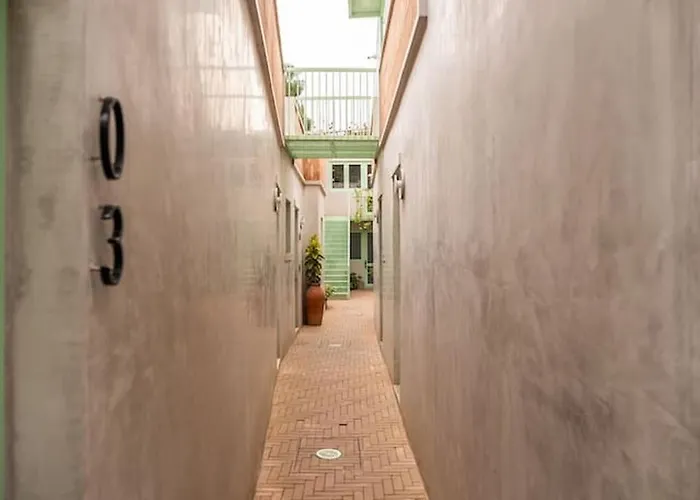 Charming Cozy In The Heart Of Coyoacán
