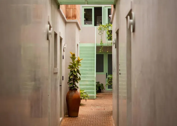 Apartamento Charming Cozy In The Heart Of Coyoacán